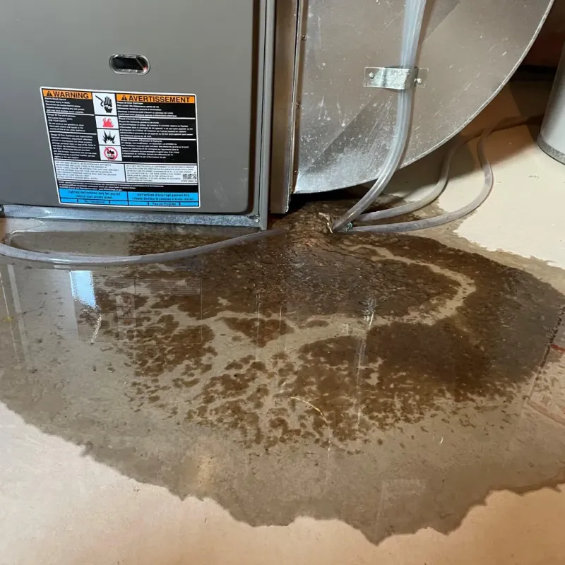 Appliance Leak Cleanup in Paris, ME